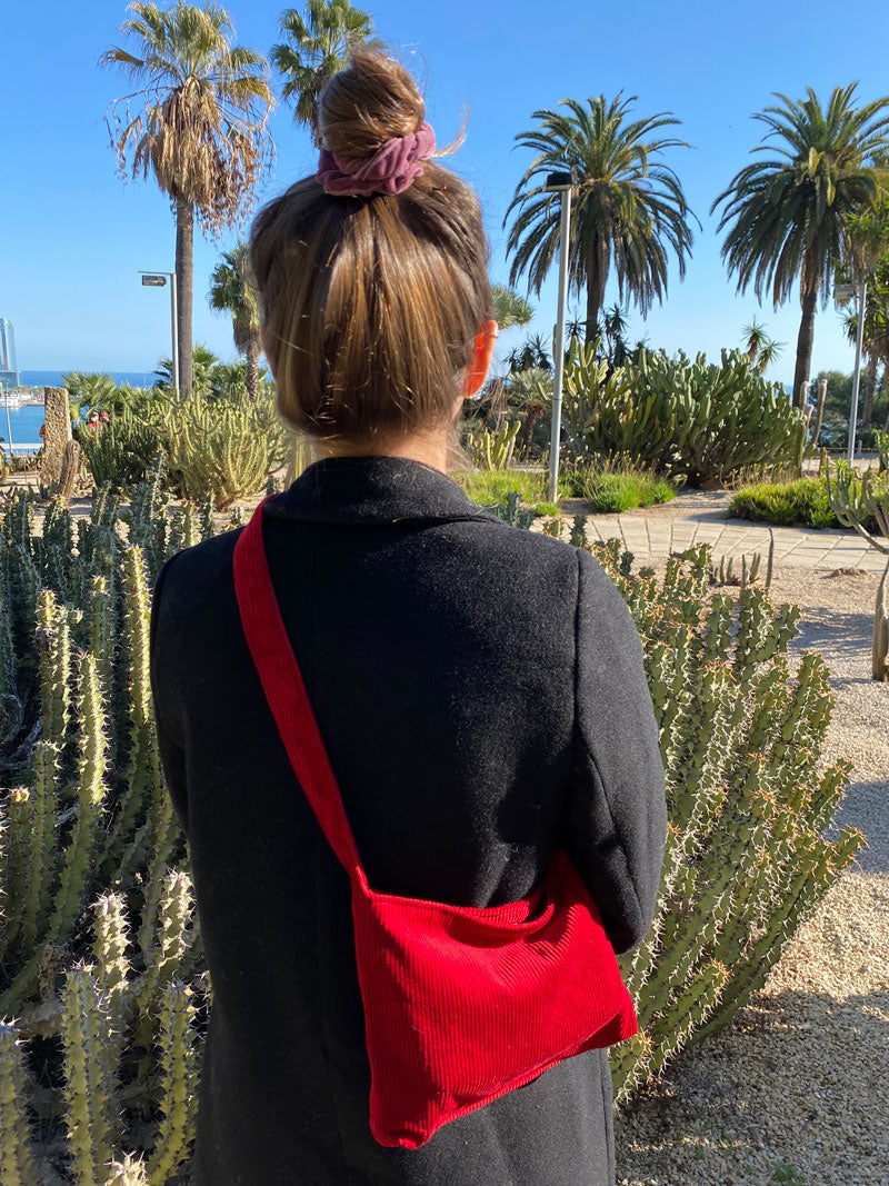 Corduroy in red bag